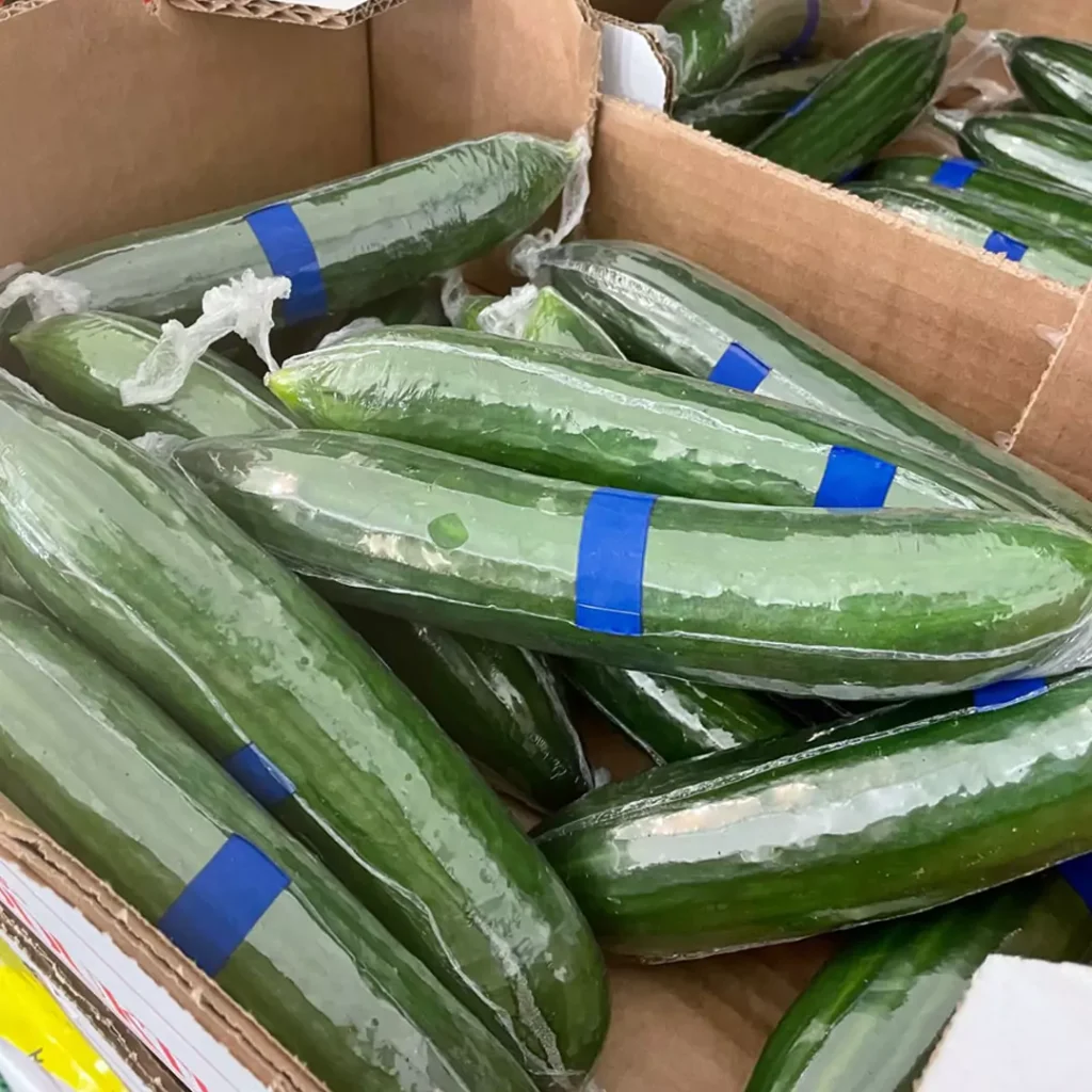 Korte og tykke agurker